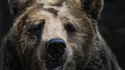 Весна на носу! Что общего у тату, веснушек и астрологии? | Отзывы  покупателей | Косметиста