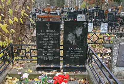 Лучшие фотографии Виктора Косых для вашего вдохновения