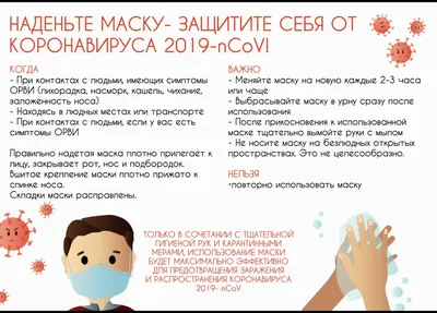 Вирусы на сайте: какие бывают и как могут навредить