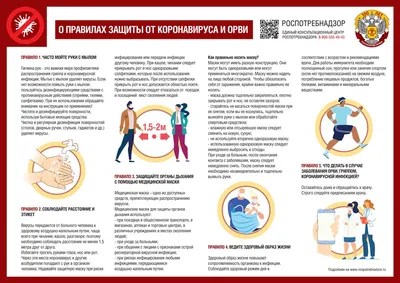 Программы для записи видео с экрана в 2023: подборка лучших сервисов для  записи видео с экрана