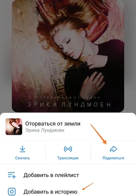 Дуров, верни стену! Обновления Вконтакте, которые бесят 🤬 — Елена  Приходько на TenChat.ru