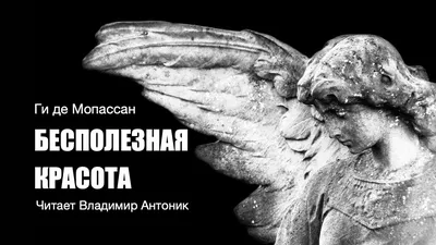 Картинки Владимира Антоника - красивые фотографии звезды кино
