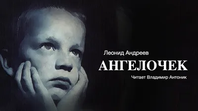 2024 фото Владимира Антоника - свежие снимки в новом году