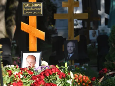 Арт изображения актера Владимира Меньшова