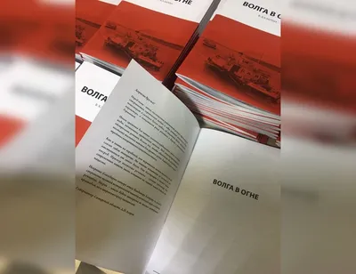 Восхитительные моменты: Владимир Волга в кадре фотографий 