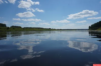 Скачать фото Владимира Волги бесплатно: доступные изображения для всех