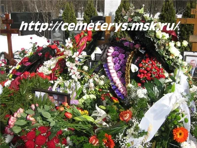 Фото на андроид с Владиславом Галкиным: покажи свою любовь к актеру.