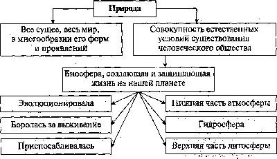 Проект Влияние пластикового загрязнения на человека и биосферу | Рефераты  Основы безопасности жизнедеятельности (ОБЖ) | Docsity