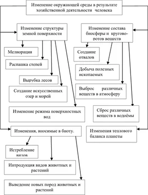 Презентация: Отрицательное влияние человека на окружающую среду
