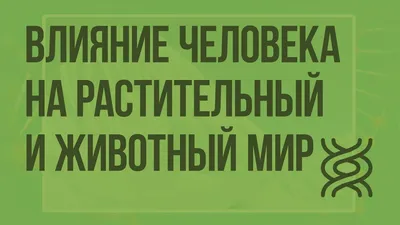 Презентация на тему: \"ТЕМА УРОКА Взаимоотношения человека и природы как  фактор развития биосферы.\". Скачать бесплатно и без регистрации.