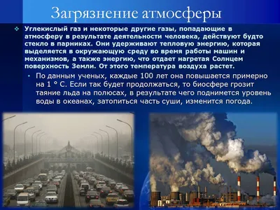 Антропогенное воздействие на биосферу. Видеоурок 30. Биология 11 класс -  YouTube