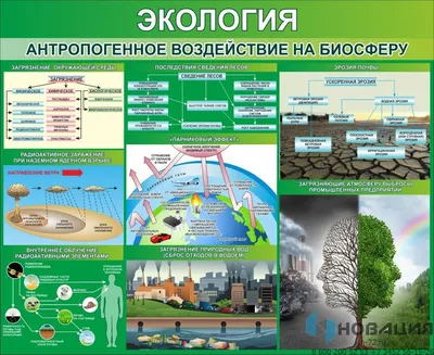 Презентация на тему: \"Место человека в биосферных процессах. Экологическая  ниша человека.\". Скачать бесплатно и без регистрации.