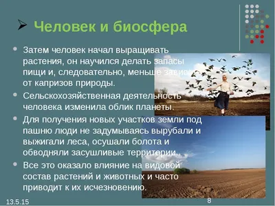 Антропогенное воздействие человека на биосферу - презентация, доклад, проект