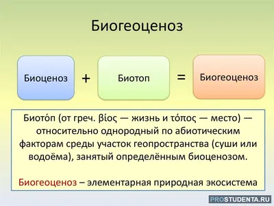 Стенд \"Экология. Антропогенное воздействие на биосферу\", 1100х900 мм:  купить для школ и ДОУ с доставкой по всей России