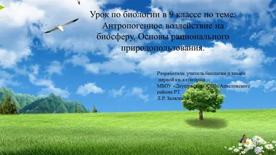 Загрязнение окружающей среды: виды, источники, проблемы