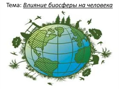 Влияние человека на биосферу картинки фотографии