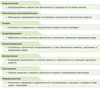 Биосфера | XXI | Дзен