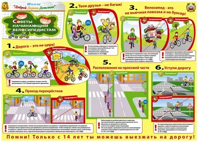 СКМ «Внимание - дети!»