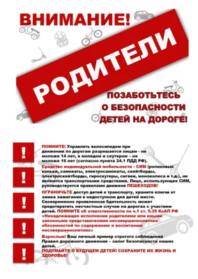 С 25 августа ГАИ проводит СКМ «Внимание – дети!» — Реальный Брест