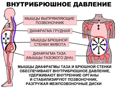 Дидактическая игра-панно из фетра «Внутренние органы человека» для детей  6–7 лет (9 фото). Воспитателям детских садов, школьным учителям и педагогам  - Маам.ру
