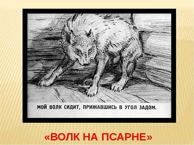 Читать онлайн \"Лягушка на стене\" - Бабенко Владимир Григорьевич - RuLit -  Страница 7