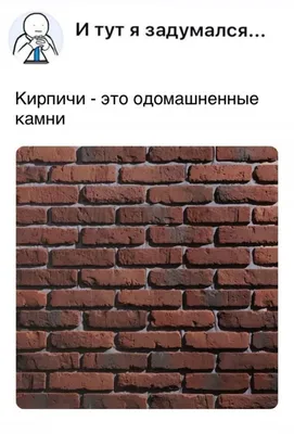 Как? 100 вопросов и ответов в картинках Издательство Махаон 8713231 купить  за 302 ₽ в интернет-магазине Wildberries