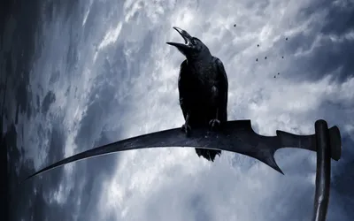 Картинка на рабочий стол белый, клюв, волк, ворон, game of thrones, snow,  взгляд, ghost 1920 x 1080