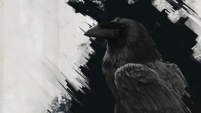 Обои на рабочий стол Нарисованный ворон, обои для рабочего стола, скачать  обои, обои бесплатно