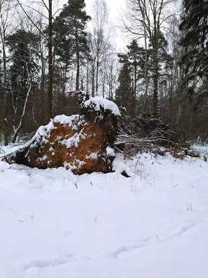 Фото: IRazbil, ремонт телефонов, ул. Воровского, 9, Челябинск — Яндекс Карты