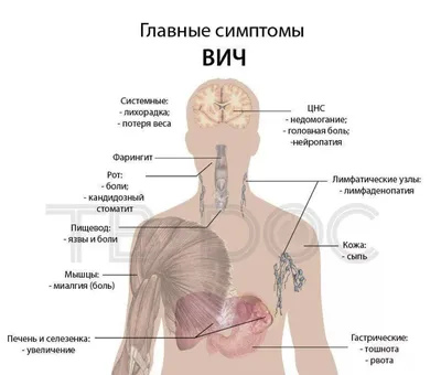 лимфоузел - YouTube