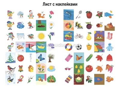 Времена года и месяцы на английском Next Level