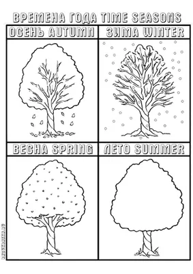 Книга Титул Времена года / Seasons. Пособие для детей. Английский язык  купить по цене 239 ₽ в интернет-магазине Детский мир