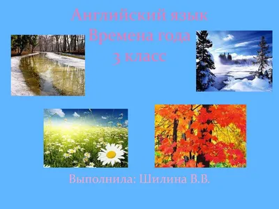 Плакат Английский язык с переводом и транскрипцией. Цвета. Предлоги. Времена  года. Тело купить по цене 190 ₽ в интернет-магазине KazanExpress