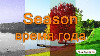 Первые слова. Английский. Времена года: обучающая книжка с наклейками  (ID#1588316611), цена: 165 ₴, купить на Prom.ua