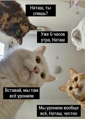 Мемы 2023 года: список 30 самых популярных