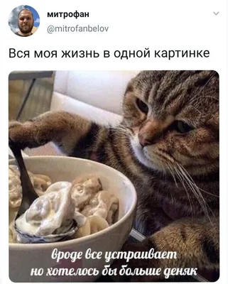 Рюмку кротовухи и в пляс с Уэнсдэй: вспоминаем самые популярные мемы  уходящего 2022 года | 12 канал
