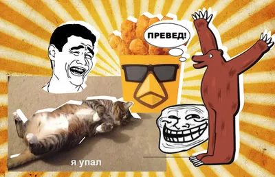 Ответить одной картинкой на все баяны | Пикабу