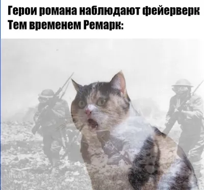 Мир Вокруг Мемов [Выпуск 352] | Мир Вокруг Людей | Дзен