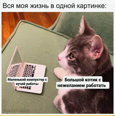 ВКонтакте назвала главные мемы года: в топе — нашумевшая аниме-нейросеть,  Мистер Исключительный и маленький чёрный котёнок | Блог ВКонтакте |  ВКонтакте
