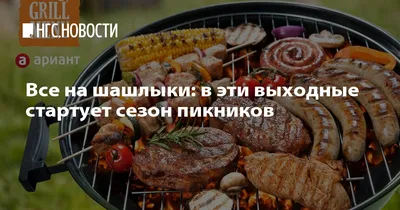 Все на шашлыки! - KP.RU