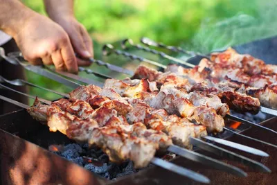 Мерим Петербург шашлыками. Все о любимом мясном блюде горожан - 29 сентября  2020 - Фонтанка.Ру