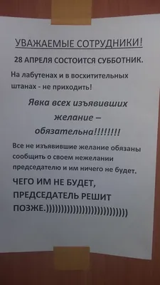 Все — на субботник! В субботу в парке за ЦКиНТ! | 05.05.2022 | Полевской -  БезФормата