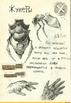 Анатомия человека фото - origins.org.ua