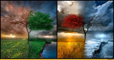 Природа (красивые фото природы: моря, озера, леса) :: art (арт) / смешные  картинки и другие приколы: комиксы, гиф анимация, видео, лучший  интеллектуальный юмор.
