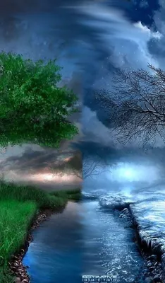 4 времени года на одной картинке для детей (45 лучших фото)