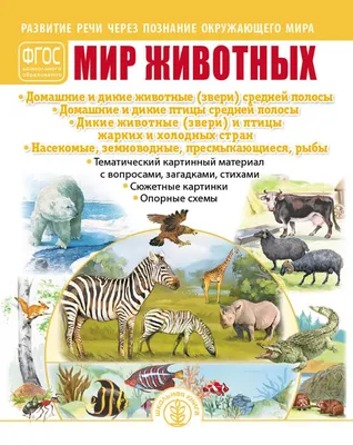 Кузиманза: истории из жизни, советы, новости, юмор и картинки — Горячее |  Пикабу