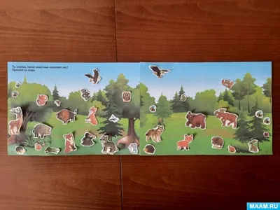 Домашние животные и их виды, одомашнивание и размножение.
