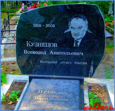 Фотокартина Всеволода Кузнецова: обои на телефон