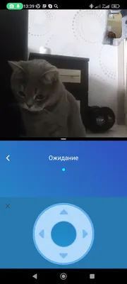 Какой телефон Вам нужен? | Непонятное | Дзен