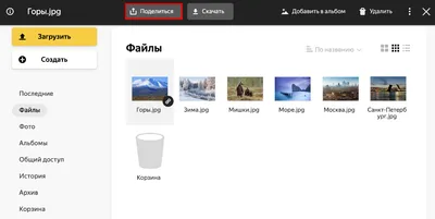 Как отправить большой файл через файлообменник - База Знаний Timeweb  Community